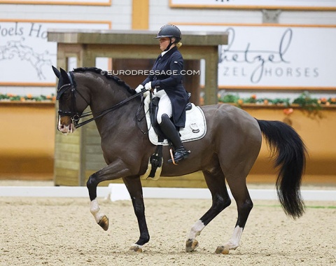 Finnish Niina Nilosaari made her come back on Quentano (by Quaterback x Dartagnan) which she last competed in 2018, after which Emile Faurie, Rien van der Schadt and Manuel Dominguez rode him