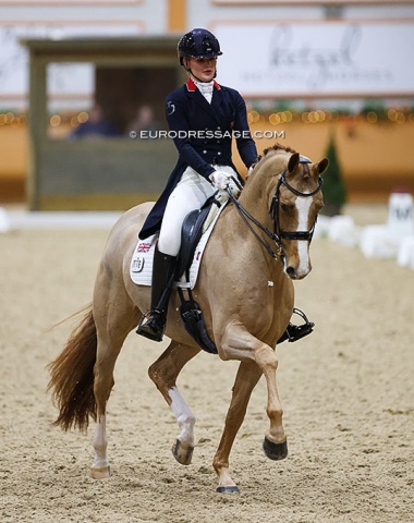 Annabella Pidgley on Gio (by Apache x Tango)