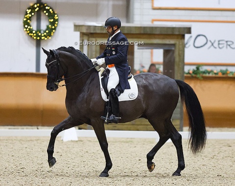 A big Indian delegation came to Kronenberg to compete across the levels. Two rode the big tour: Jitendarjit Singh Ahluwalia (on Magnanimous, pictured) and Anush Agarwalla