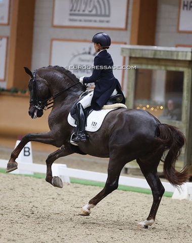 Japanese Akiko Yonemoto on the 17-year old KWPN stallion Aaron (by Florencio x Record), previously shown by Jeroen Devroe and Heiner Schiergen before selling to Japan.