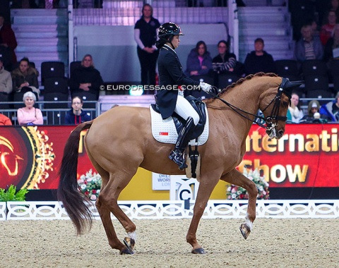 British based Singapore rider Caroline Chew on the 18-year old Tribiani (by Solos Landtinus x Landadel)