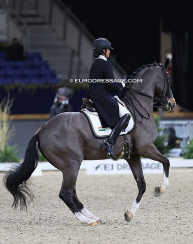 Indian Divyakriti on the 13-year old Danish warmblood Adrenalin Firfod (by Skovens Rafael x Zalmiak Firfod), previously competed by Helene Melsen.