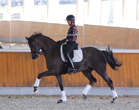 Charlotte Jorst on Straight Horse Cosmo (by Grand Galaxy Win x Romanov)