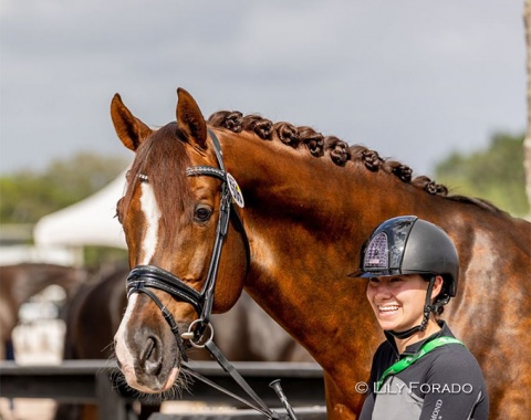 Hope Cooper with Flynn PCH, who was competed in Europe by Hubertus Schmidt, Fabienne Lutkemeier and Evelyn Eger