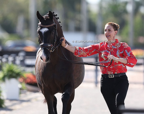 Ears pricked during the trot up