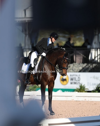 Katie Poag on the 19-year old Zonnekoning (by Florett As x Topas)