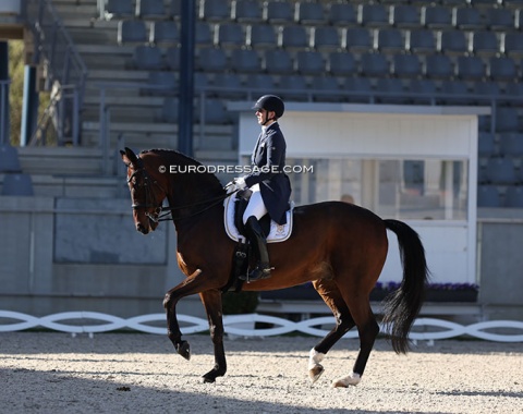 After a one-year break from CDI showing, 50-year old Anabel Balkenhol is back with High Five (by Hohenstein x De Niro)