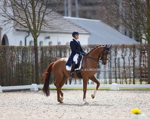 Laurens Vanderbeeken on Gamin van het Waterhof