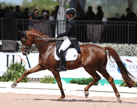 Morgan Barbançon on Deodoro