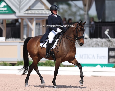 American Giulia Cohen on Illyon S (by Wynton x United)