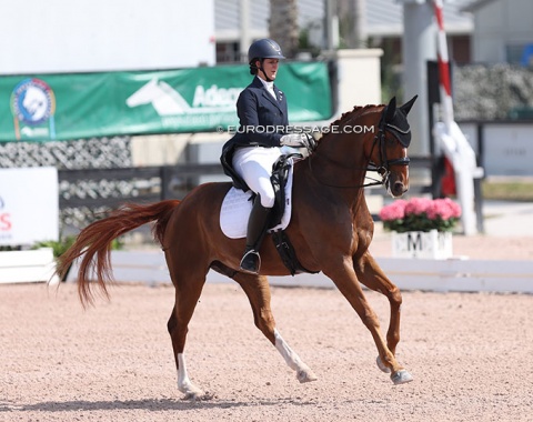Canadian Julie Laforge rode a soft and sweet ride on Bobby (by Belissimo M x Weltmeyer)