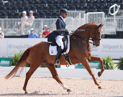 2012 Canadian Olympian David Marcus with Qosmo (by Quaterhall x Rascalino)