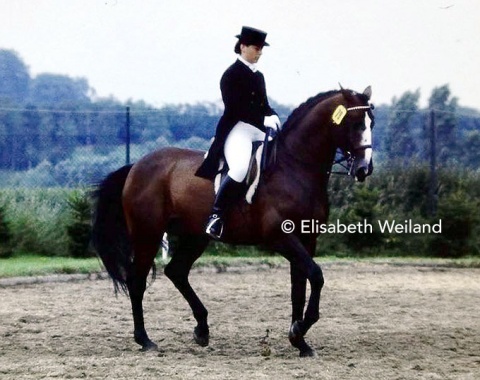 The recently deceased Inger Hedegaard (DEN) on Velten Sohn