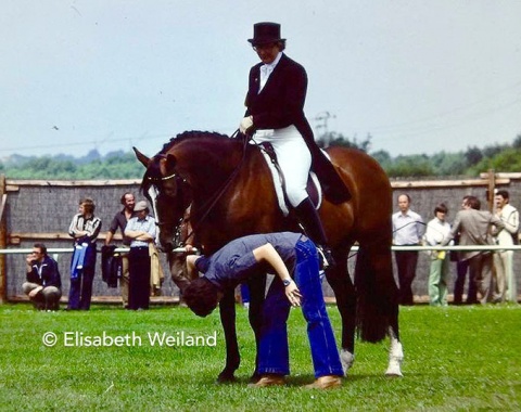 Dutch Frederica Benedictus and the French bred Anglo Arab Le Baby getting ready for the Grand Prix.