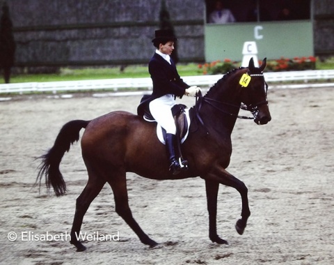 French Marina Caplain de Saint André on the French bred Val de Loire who were part of France’s team for the small tour at the World Championships in Goodwood about a week later.