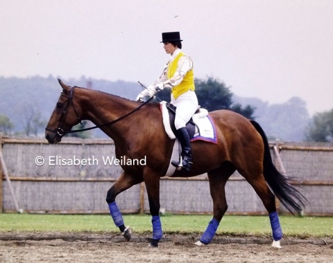 American Alexsandra Howard and her thoroughbred Bull Market in the warm up. Unfortunately the horse injured himself and could not start at the World Championships, but took their chance four years later at Lausanne.