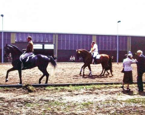 Aachen warm up ring in 1978. Klimke and Boldt