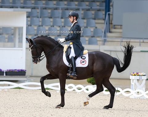 Sergio Garcia Bermejo on the 10-year old Hexagon's Innuendo (by Negro x Rubiquil)
