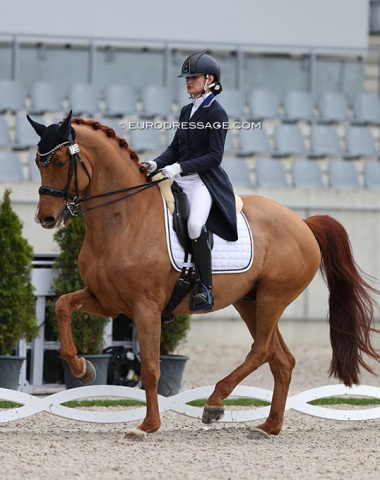 American selectors pay attention ! This is one to watch in Europe: Turkish born American Lina Uzunhasan has a real pocket rocket in Furst Fabelhaft (by All at Once x Fidermark). They scored 69.370% but there is so much more in the tank, maybe with some Debbie McDonald polish !