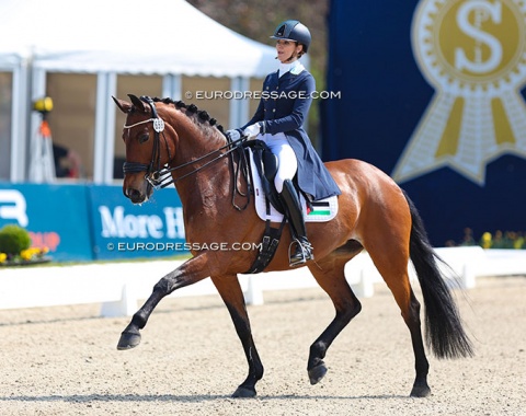 Russian-Palestian Diana Al Shaer on Unazalee de Massa (by Rubin Cortes x Maestro). She trains with Anne van Olst, but she was at the CDI 5* Fontainebleau with Lottie Fry