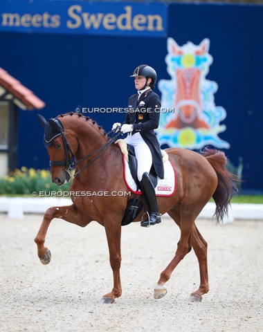 Lisa-Maria Klössinger on the KWPN bred Incredible Boy (by Bordeaux). I'm sure you can guess there is Jazz on the dam side.