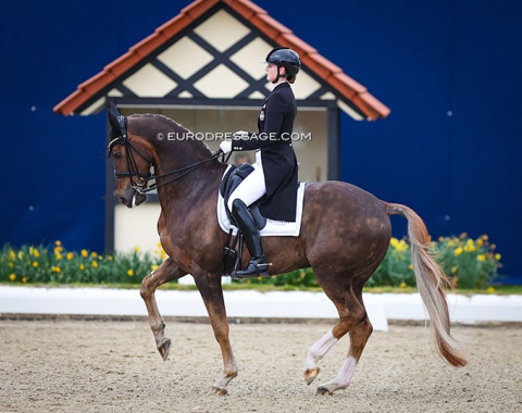 Swedish Marina Mattsson on Helix (by Apache x Jazz). Lovely horse, very picturesque, and showing great talent for piaffe but overall the straightness could improve with the rider sitting more centered in the saddle.