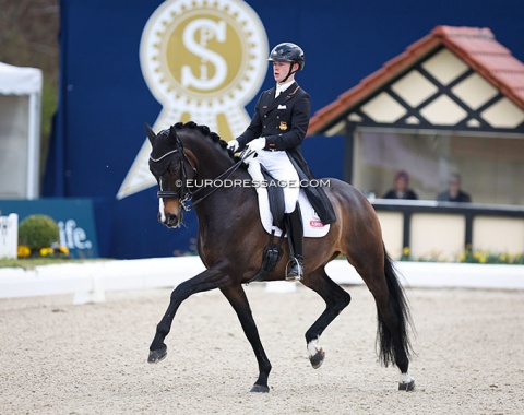 Raphael Netz on Great Escape Camelot (by Johnson x Turbo Magic). Previously competed at international GP level by Estelle Wettstein. The dark bay is a cute, energetic horse but the piaffe is still an issue as he steps on his own feet
