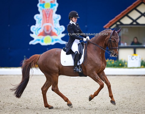 Former Piaff Forderpreis winner Franziska Stieglmaier on a new GP horse, Samurai (by St. Moritz Junior x Laureano)