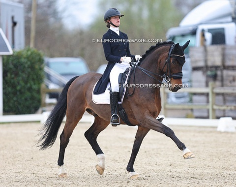 Emma Lienert on the Belgian warmblood Intendro van de Nachtegaele (by Contendro x Camus), previously shown by Hungarians Jazmin Yom Tov and Robert Acs