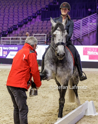 Leunus van Lieren giving Thamar Zweistra's Hexagon's Ich Weiss a stretch