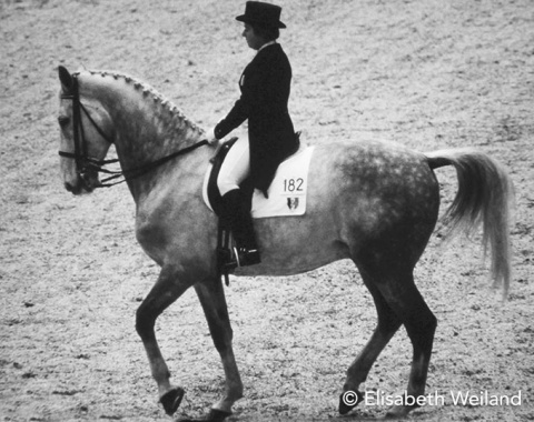 French Dominique d’Esmé and her dapple grey Freshwind were Freestyle specialists in the 1980s. Freshwind was the first horse in the history of the World Cup whogot his own freestyle music composed for his gaits.