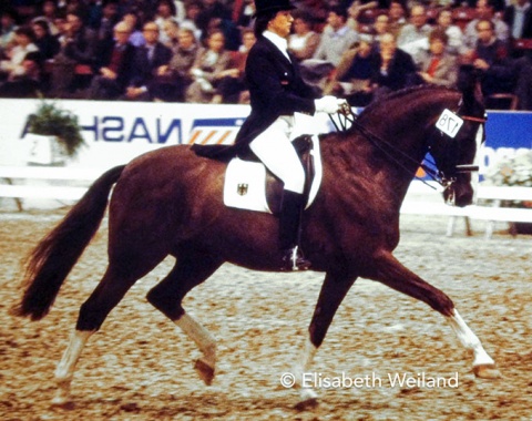Gabi Grillo and Losander in a well developed trot extension at the 1986 World Cup Finals