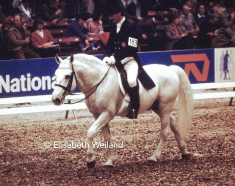 Alojz Lah who started under the Yugoslavian flag in the 1980s with the talented Lipizzan Maestoso Monteaura who was Lipica’s mainstay in international dressage for many years.