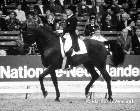 USA representative Dianna Rankin and her 15-year-old HolsteinerNew Ladykiller.