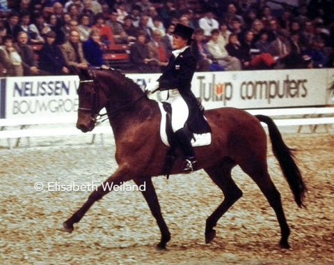 In front of an enthusiastic home-crowd Annemarie Sanders presented her long-time partner Amon, at 18 the oldest horse in the field of 12.