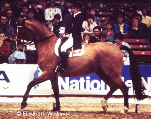 The 12-year-old Oldenburger Rubelit von Unkenruf by the Trakehner Unkenruf could not seriously challenge hot favourite Marzog.