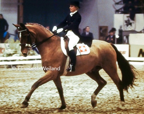 Rubelit von Unkenruf who is well remembered as young Carl Hester’s first Grand Prix horse.