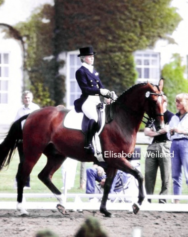 Warm up anno 1987: Margit Otto-Crépin and her Hanoverian hopeful Maritim before their start in the small tour.