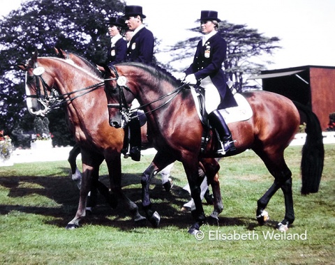 The bronze medal winning Dutch team who mainly relied on very experienced horses.