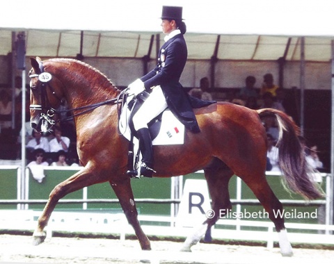 Italian Daria Fantoni on the 11-year-old Dutch bred Sonny Boy (by Jashin xx) who was first trained and successfully competed by George Theodorescu He carried his rider to three Olympic Games, the last one in Atlanta 1996. Retired at age 20, he enjoyed a long and happy retirement.