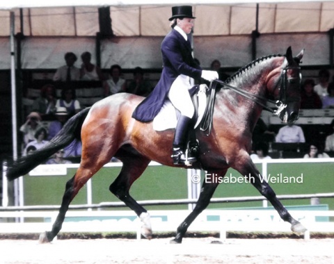 British team rider Trish Gardiner showed the then rather inexperienced  thoroughbred Wily Imp xx, owned by her student Bill Noble. 