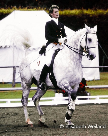 Austrian individual rider Regina Moldan warming up on Dacapo.