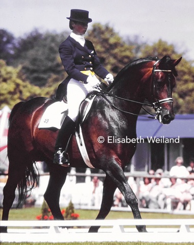 Swedish Louise Nathhorst and the beautiful looking Swedish bred stallion Chirac (by Chagall).