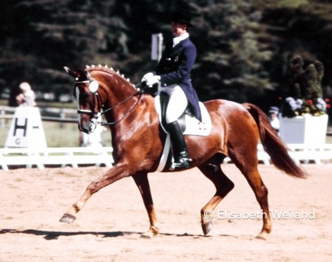 Daniel Ramseier still rode the Swiss bred gelding Orlando CH on the team, a very reliable horse.