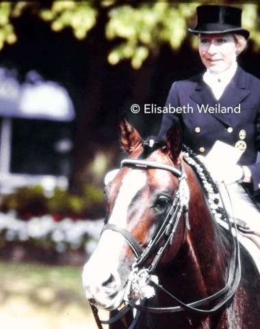 Gauguin de Lully CH, imported in utero from Sweden to Switzerland, was one of the most successful horses in the second half of the 1980s