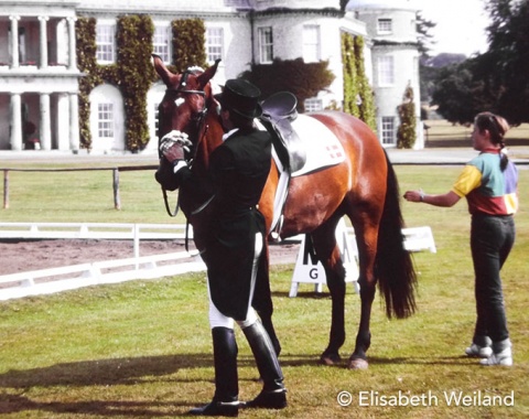 Danish Morten Thomsen with last minute preparations of his horse Diplomat whom he also rode a year later in the Olympic Games.