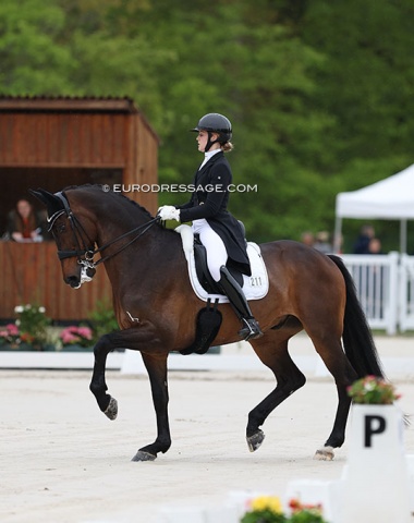 German U25 rider Luca Collin on Ferrero D, who was previously owned by Mary Hanna. 