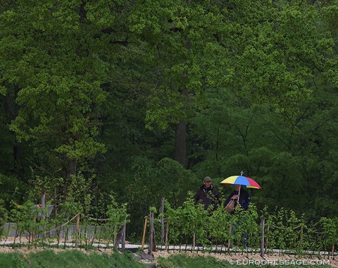 Kyra Kyrklund's rainbow coloured umbrella in an ocean of green