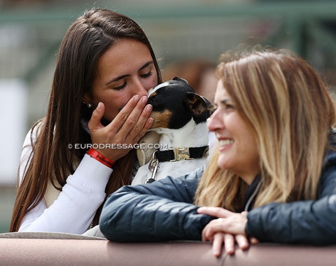 Dogs and horse shows