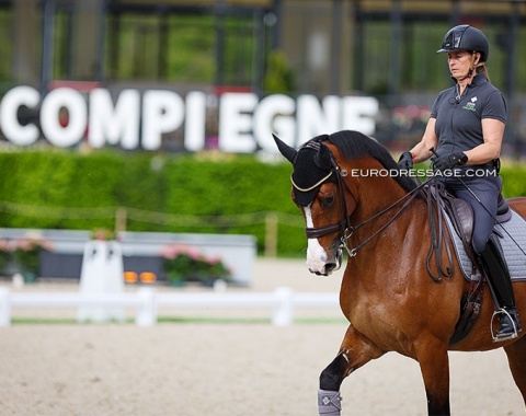 Tinne Vilhelmson schooling Devanto (by De Chirico)